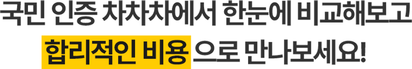 국민 인증 차차차에서 한눈에 비교