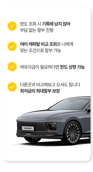 한도 조회시