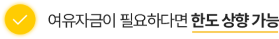 한도 상향 가능